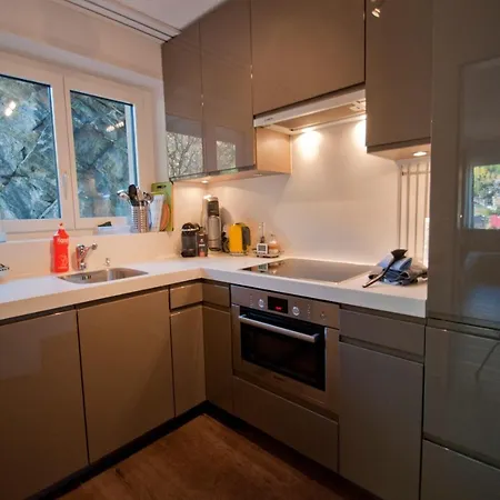 Haus Bodmen C, Edelweiss Apartman