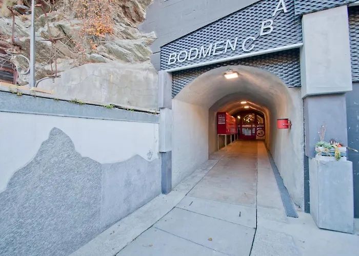 Haus Bodmen C, Edelweiss