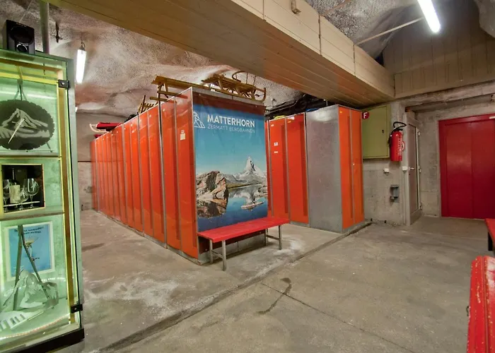 Haus Bodmen C, Edelweiss Appartamento