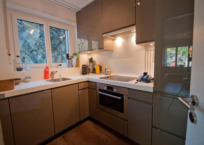 Haus Bodmen C, Edelweiss Appartamento